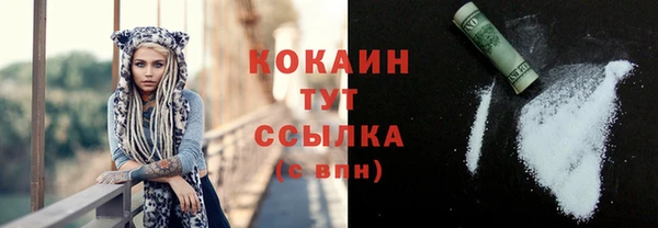 спайс Арсеньев