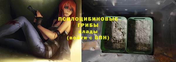 стафф Михайловка