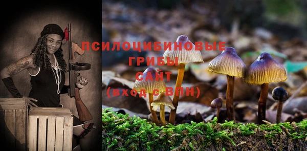 спайс Арсеньев